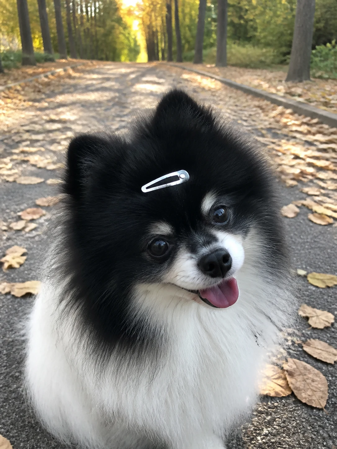 简约系列